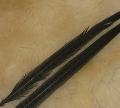 ringneck pheasant center tail  black Super Fly